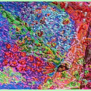 Giclée: 62. Mystic Forest aka Bourbon